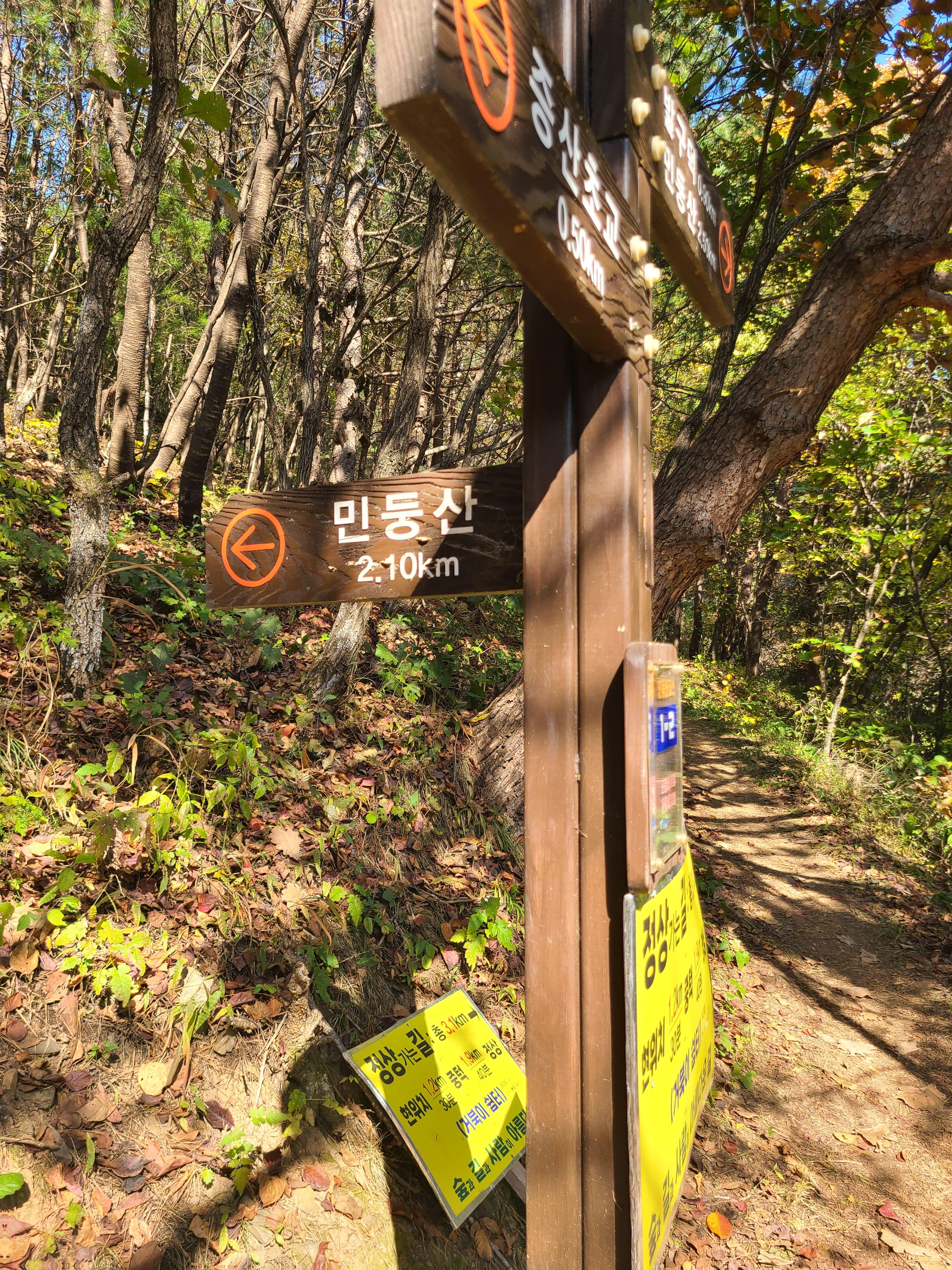 민둥산
