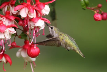 에너지 바우처 잔액조회 완벽 정리 13
