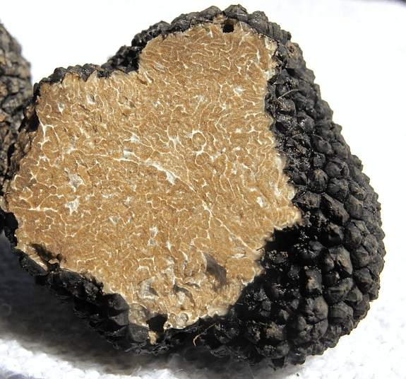 표면이 검정색이고 속은 갈색인 트러플을 자른 단면으로 크게 확대하여 찍었다.