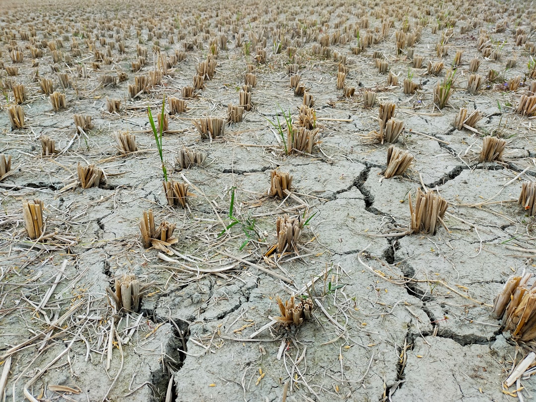 Dryness