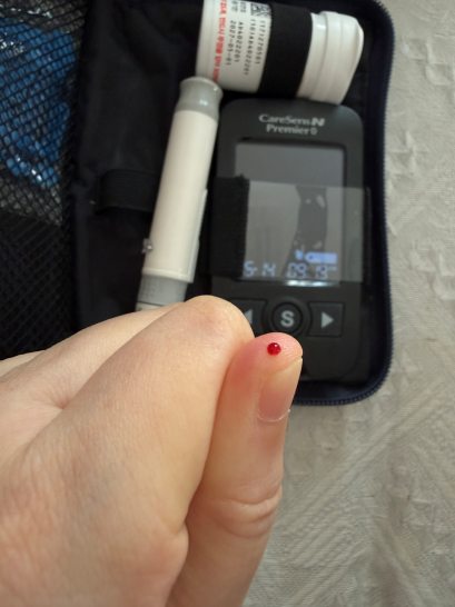 리브레와 채혈 숫자가 다를 때 멘붕 오는 이유와 대처법