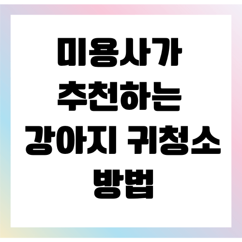 올바른 강아지 귀 청소방법