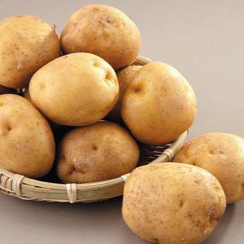 설사에 좋은 음식 - 4. 감자