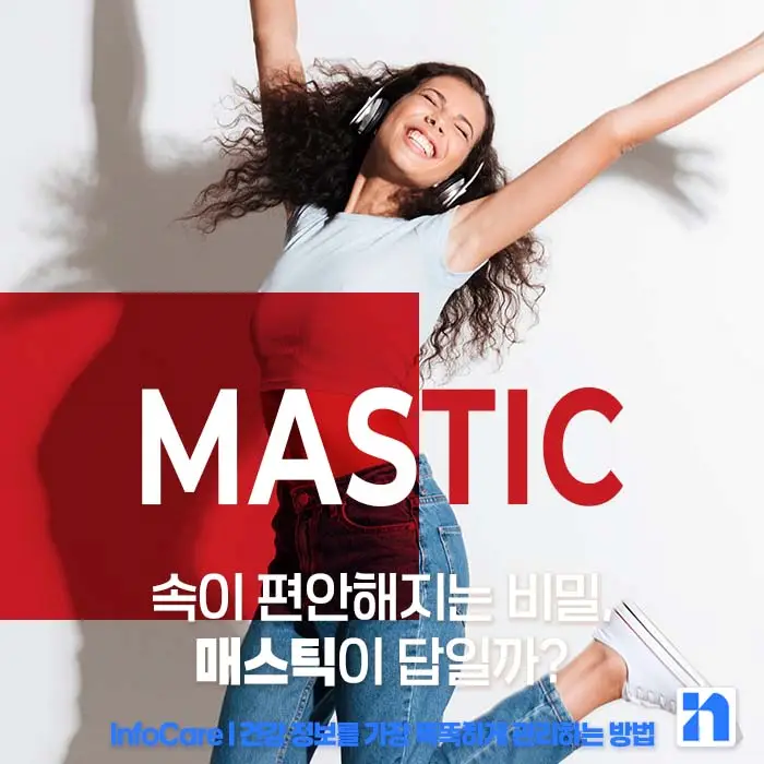 매스틱 효능 복용법 매스틱검