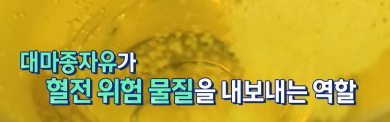 대마종자유 효능