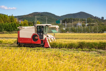 농어민수당신청