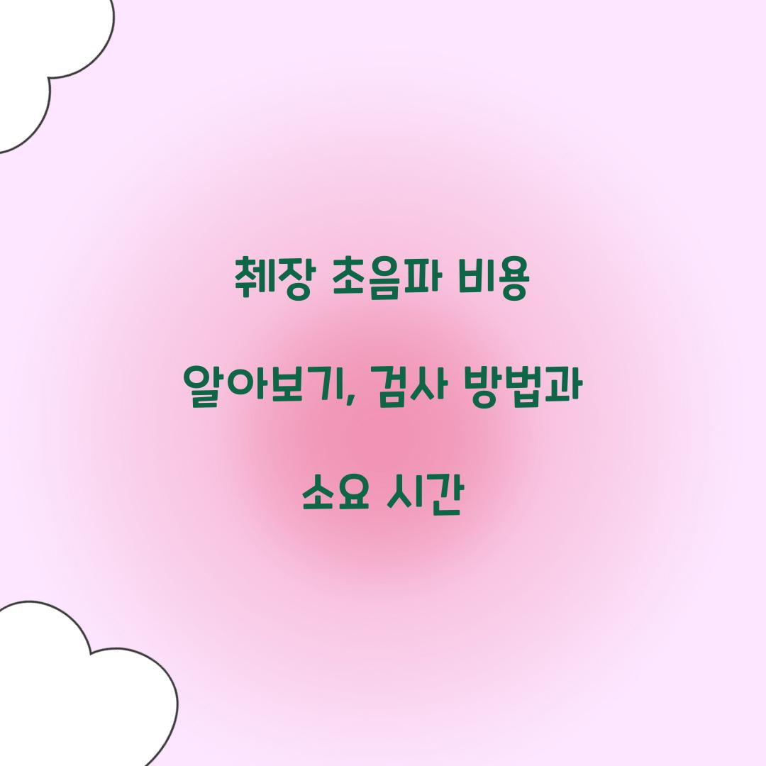 췌장 초음파 비용