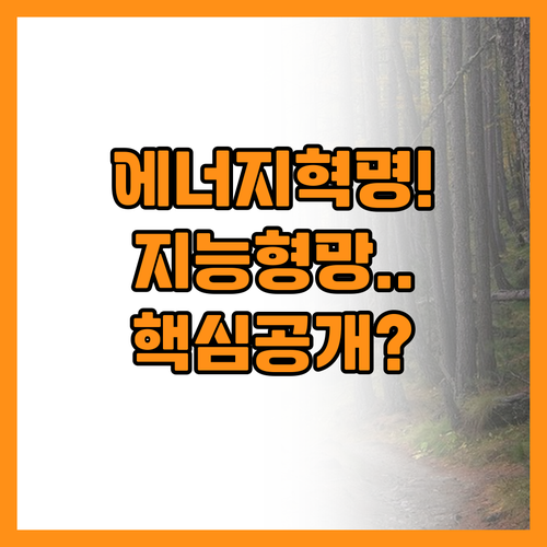 에너지 민주주의 실현을 위한 분산형 ..