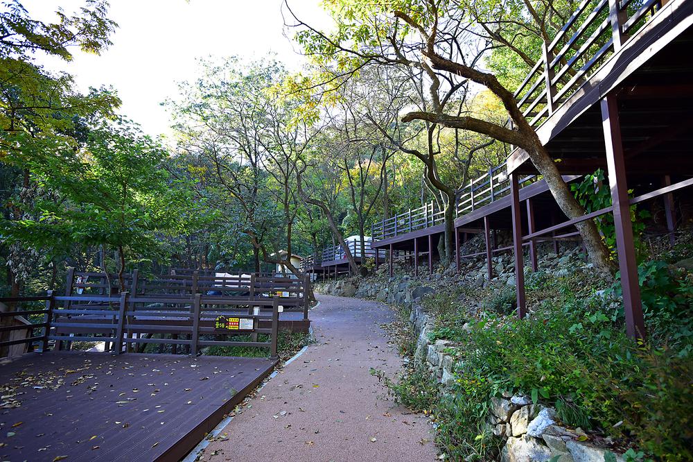 경남 신어산자연숲캠핑장