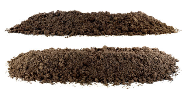 흙시험 관련사진