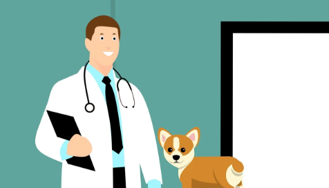 오늘은 한국의 수의사에 대한 이야기를 해보려고 해요