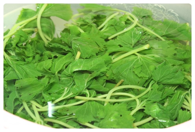 머위 효능 5가지 부작용 머위 데치기는 방법 양념장 뿌리 머위잎 머위즙