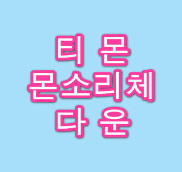 티몬-몬소리체-다운로드