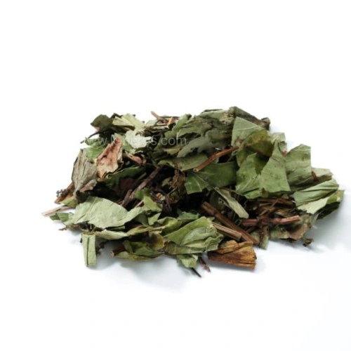 건조한 삼백초 전초