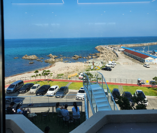 속초 애견동반 카페 '바다뷰제빵소' 방문 후기