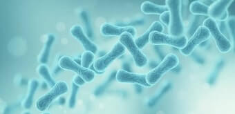 면역력 증진 식품