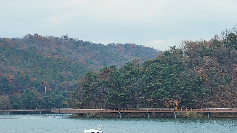 백운호수 주변 풍경 -산책 데이트 코스