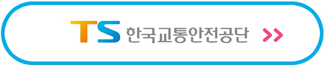 한국교통안전공단