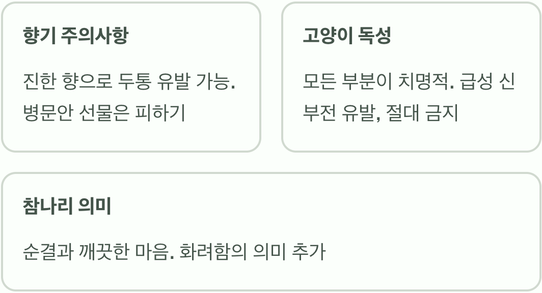 백합 꽃말과 색상별 의미 총정리