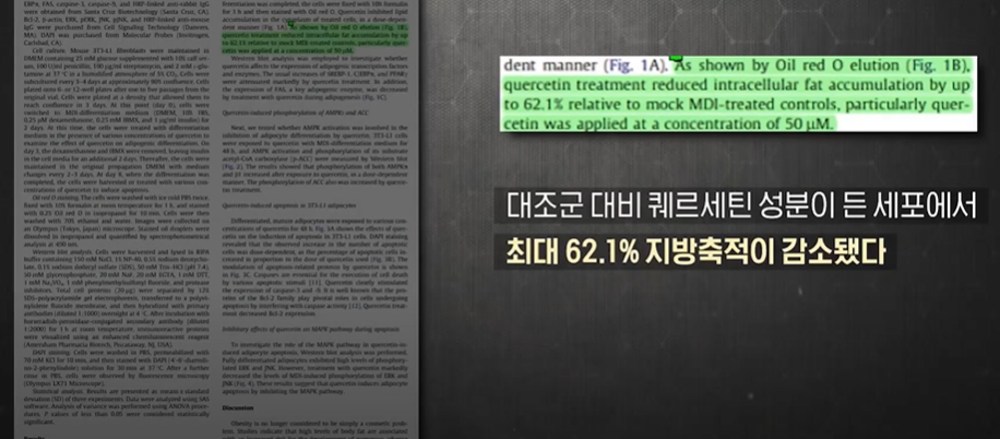 대마종자유 효능