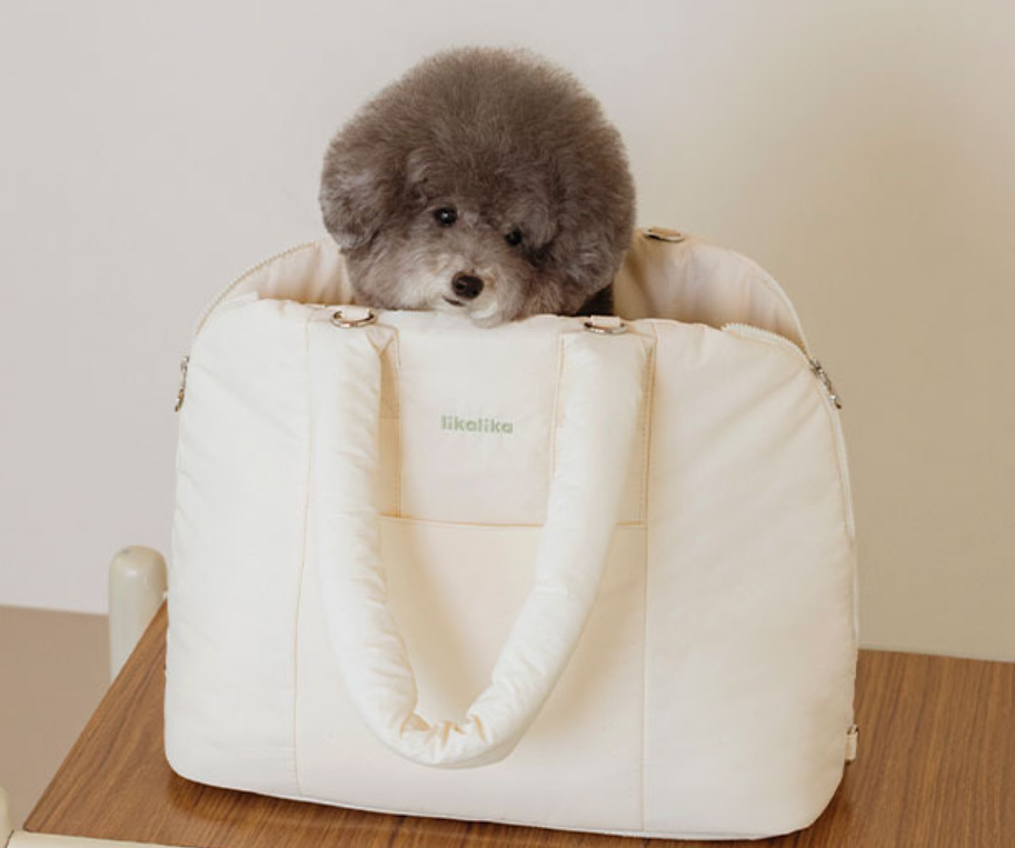 강아지 이동장 사용 및 관리 방법