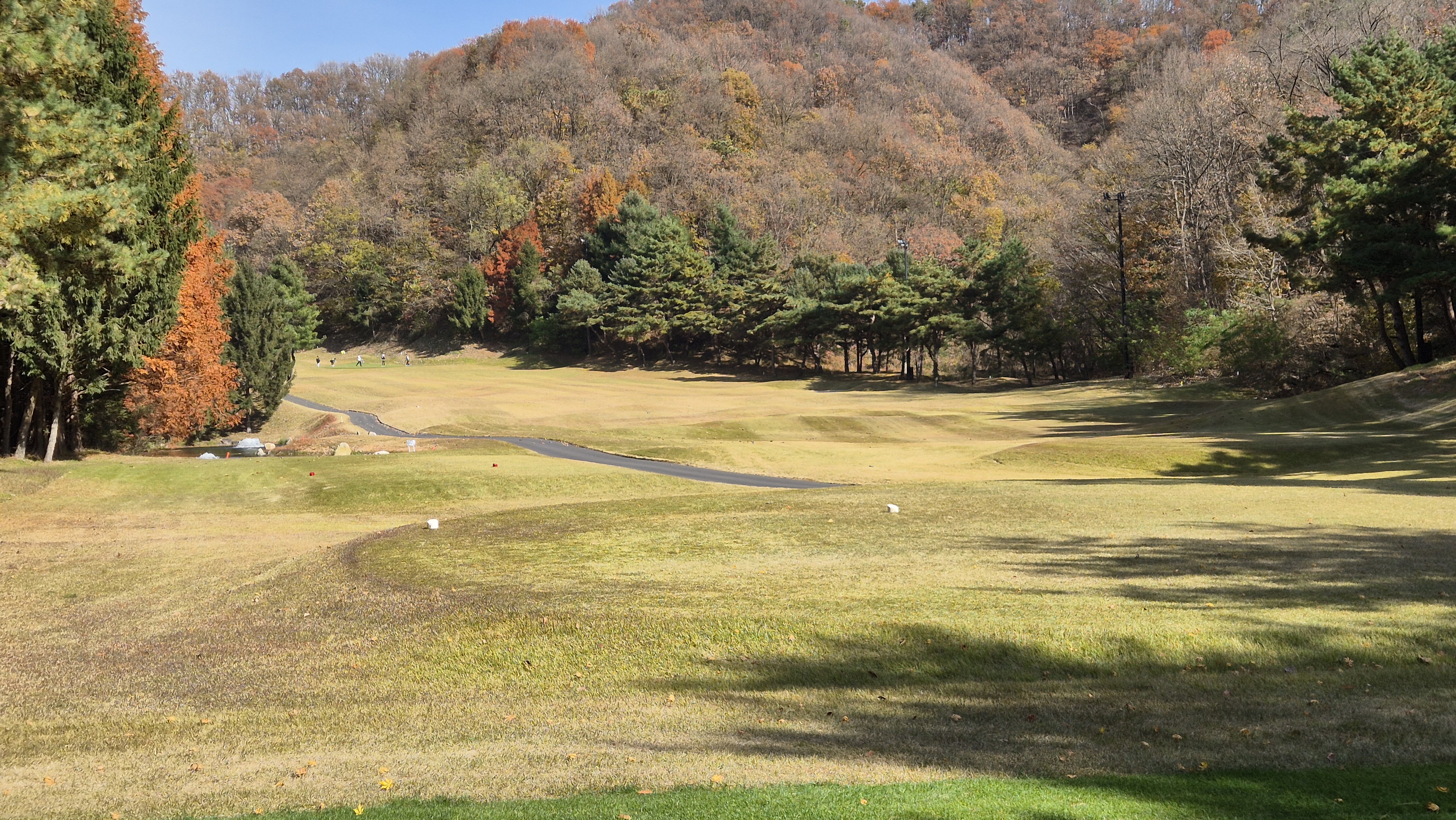 세종에머슨cc 마운틴코스 사진 및 공략 정보