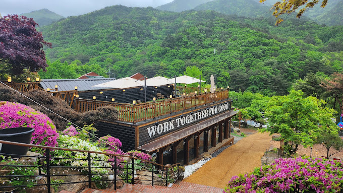 충북 제천, 인생맛집 추천맛집