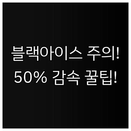 평소 대비 50퍼센트 감속 블랙아이스..