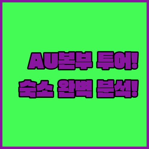 에티오피아 아디스아바바 아프리카 연합..