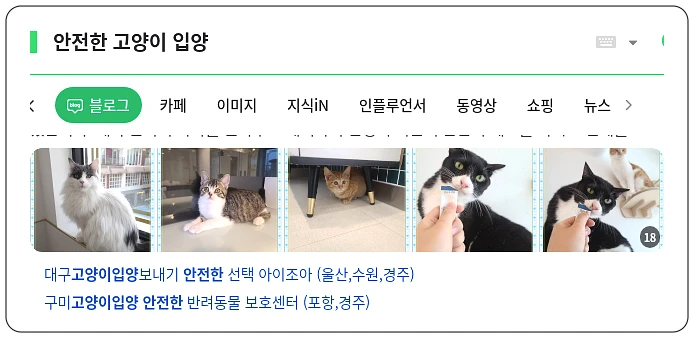 안전한 고양이 입양_1_subsection