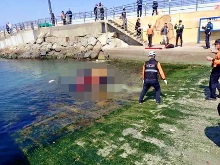 그알 그것이알고싶다 1312회 부산 동백항 고의 차량추락 혼자 산 보험 살인혐의 친오빠 숨진채 발견 동거녀 구속 미스테리 제2의 가평 이은해인가