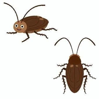 우리나라에 서식하는 바퀴벌레 종류별 특징과 서식 환경_11