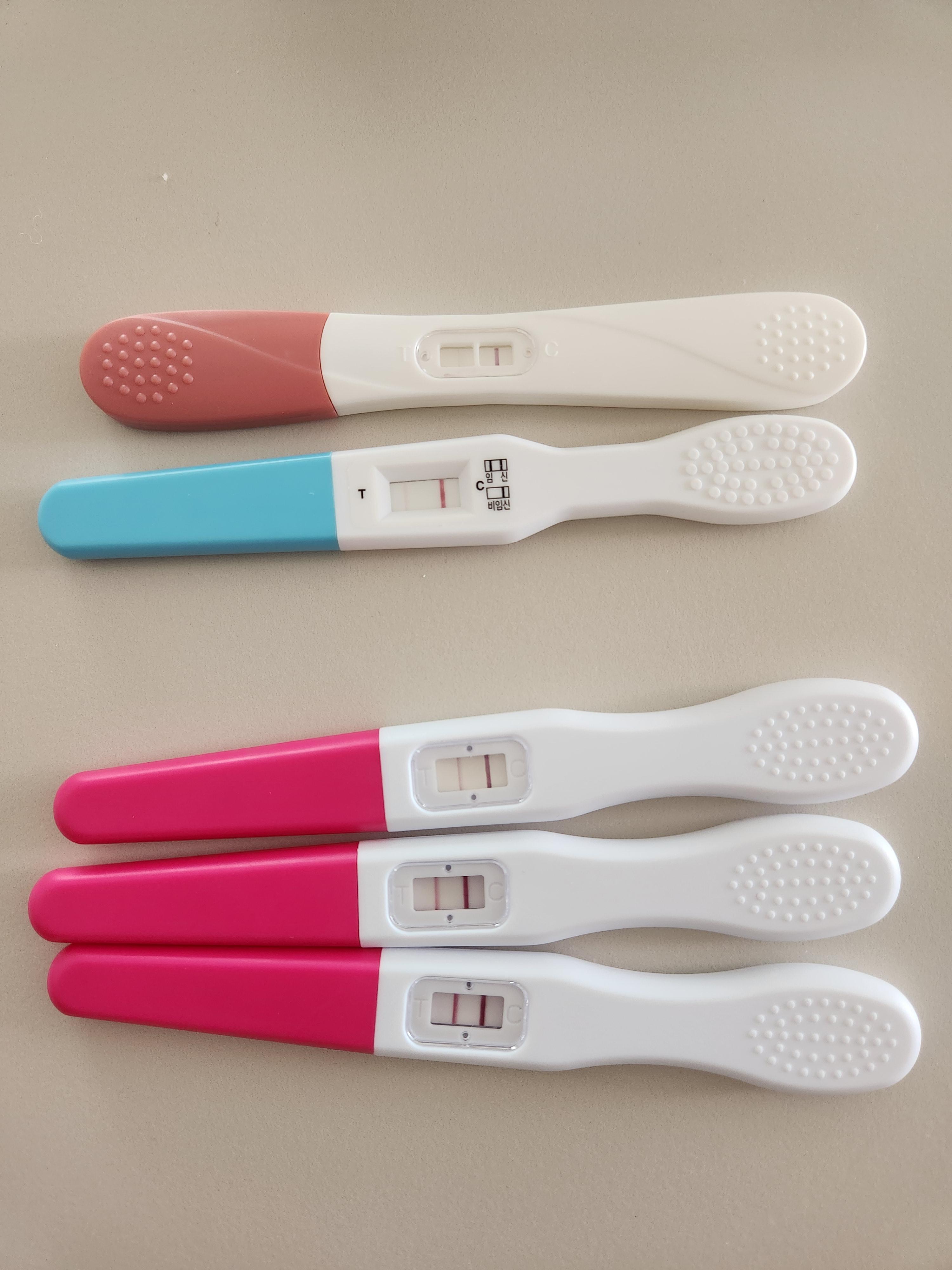 임신테스트기 다음날 두줄