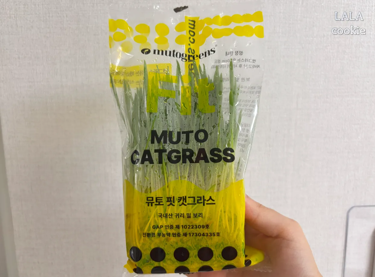 고양이가-좋아하는-풀-캣그라스-귀리-포장상태-좋음