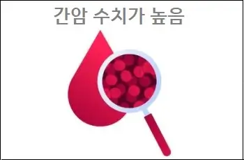 간암 수치가 높음