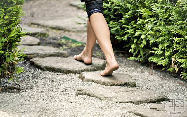 맨발걷기 효능 시간 방법 맨발걷기의기적