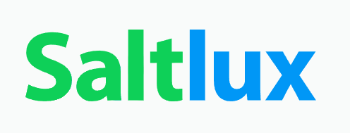 솔트룩스-기업로고