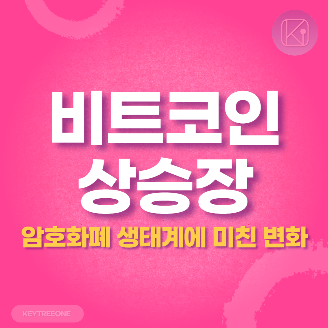 비트코인 상승장이 암호화폐 생태계에 미친 변화