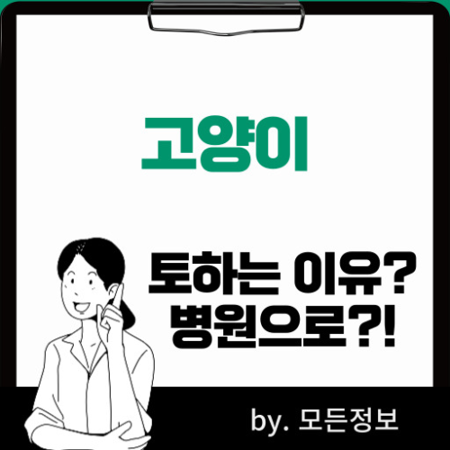 고양이가 토하는 이유