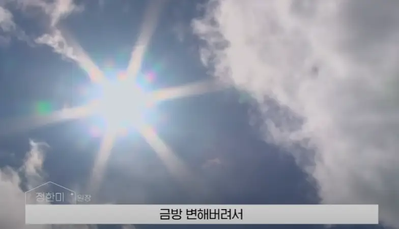비타민C-산화