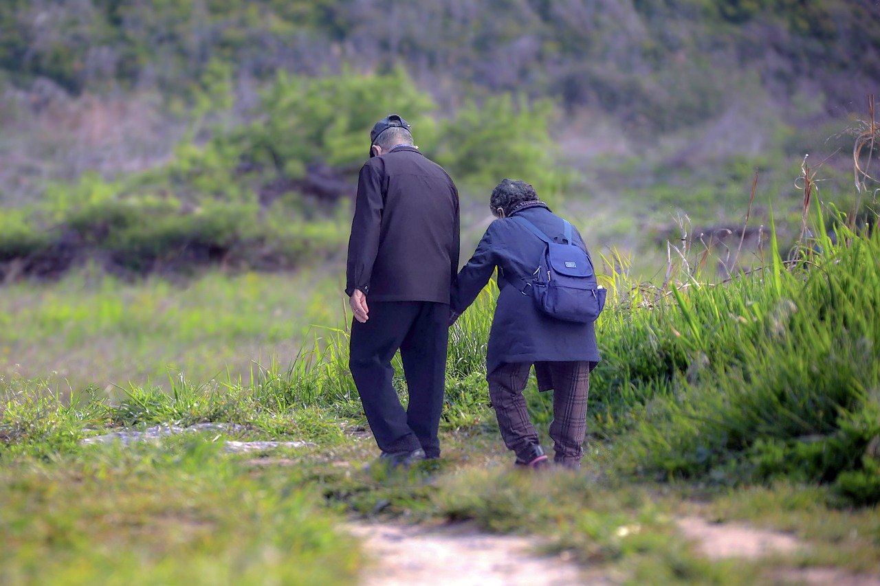 부모님이 뒷모습 사진