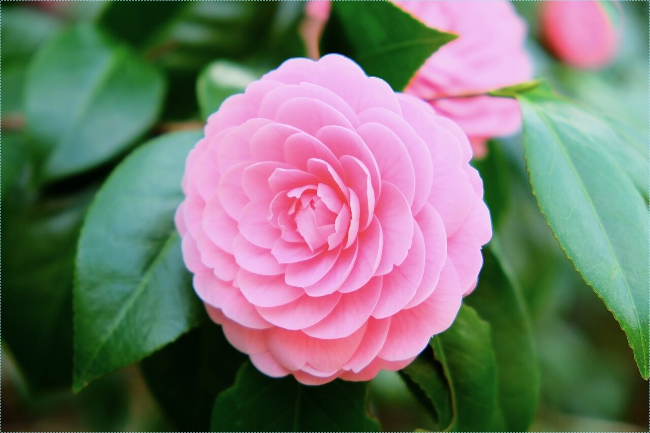 우체국 적금 금리