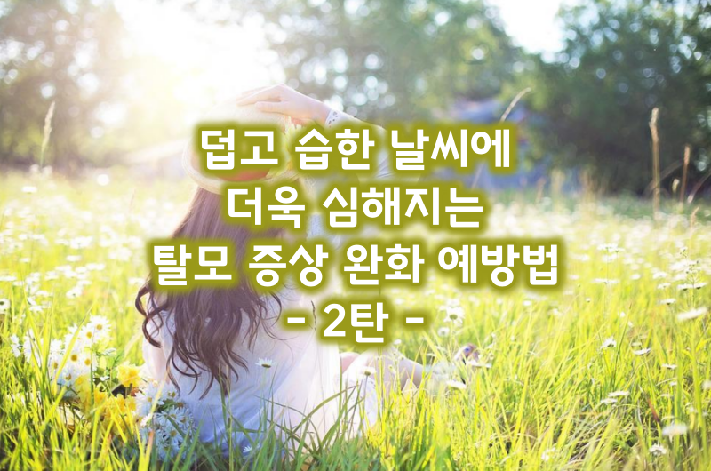 탈모 증상 완화 방법