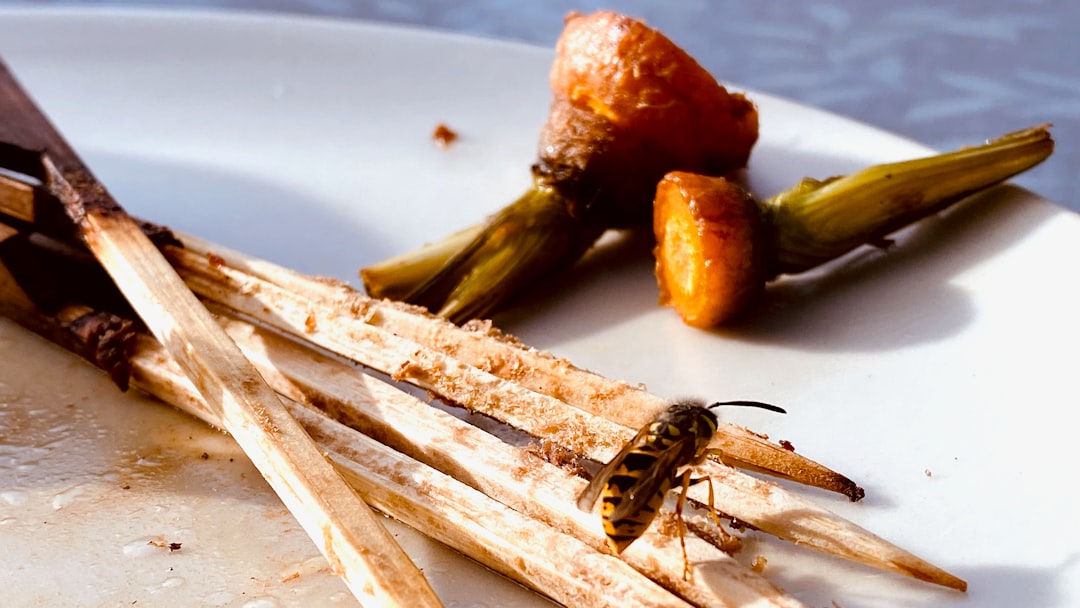 Crunchy chili paste anchovy stir-fry - the most important noun in English is anchovy.
