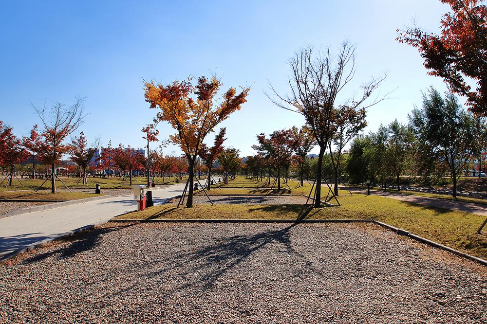 경북 구미캠핑장 소개