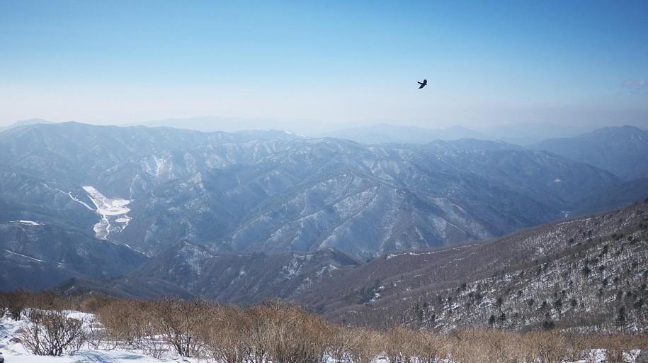 태백산 정상에서 내려다보는 풍경