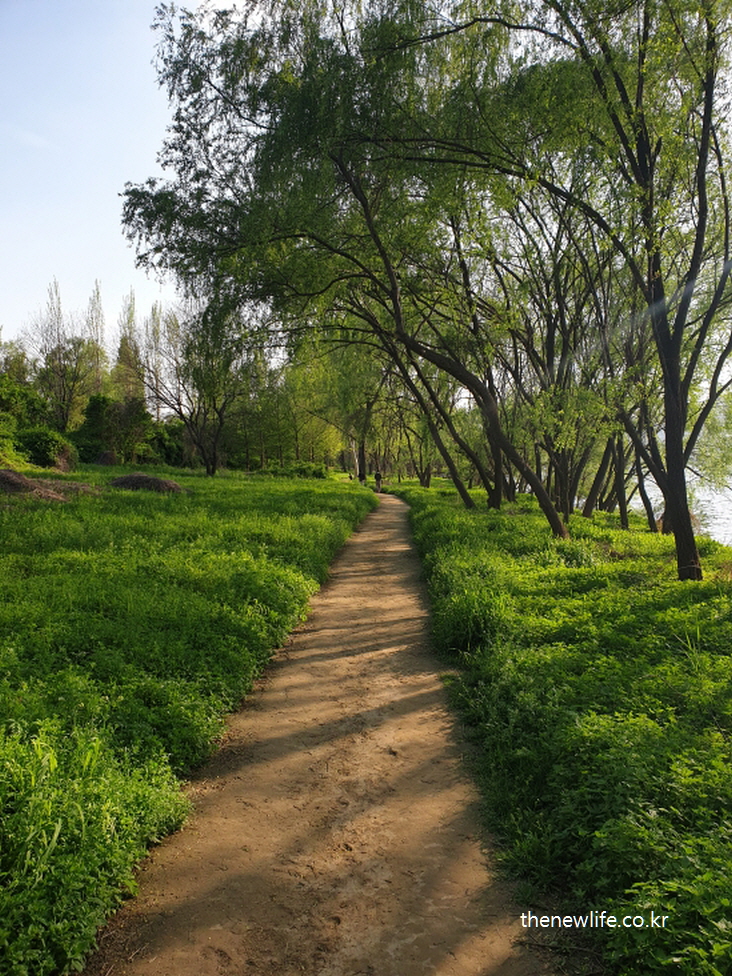 서울 걷기 좋은 길 &ndash; 자연 그대로의 흙길이 이어지는 조용한 산책 코스