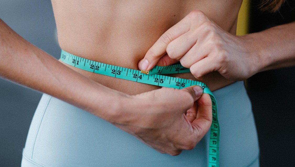 BMI 기준표 계산기