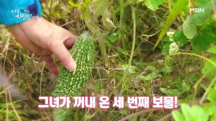 나는-자연인이다-윤택
