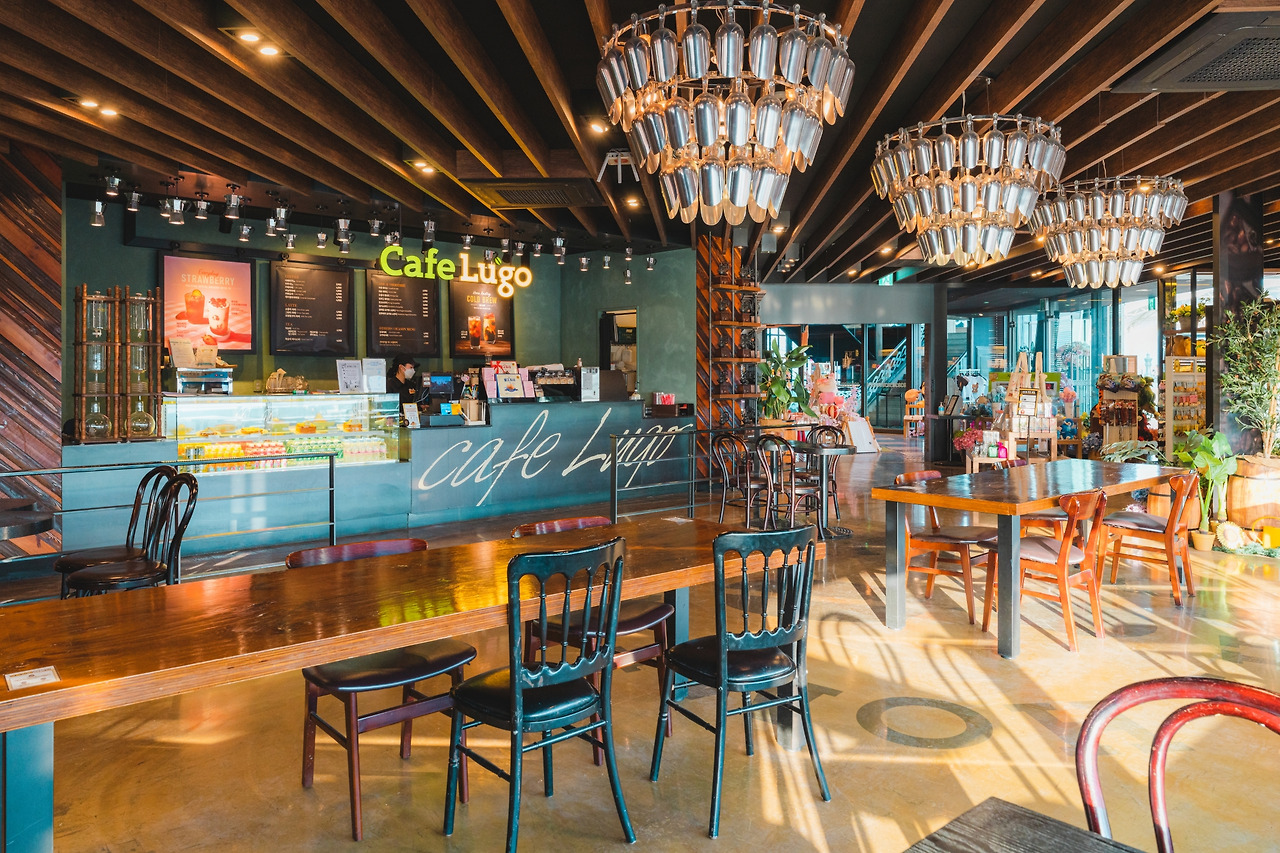 대구 이월드 일루미네이션